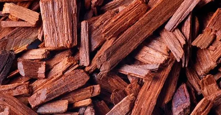 Nguyên liệu nhang buddhaking - Cây Đàn Hương